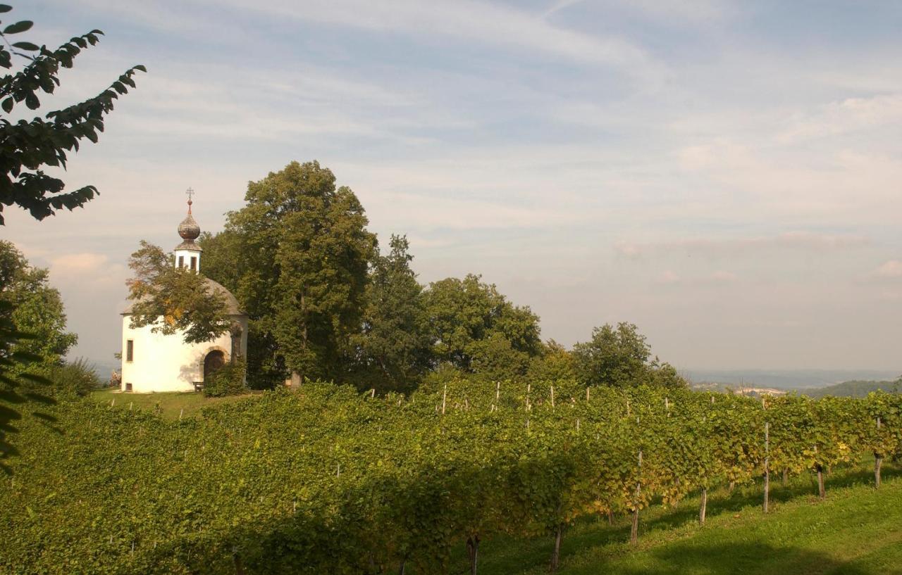 Schloss Kapfenstein Extérieur photo