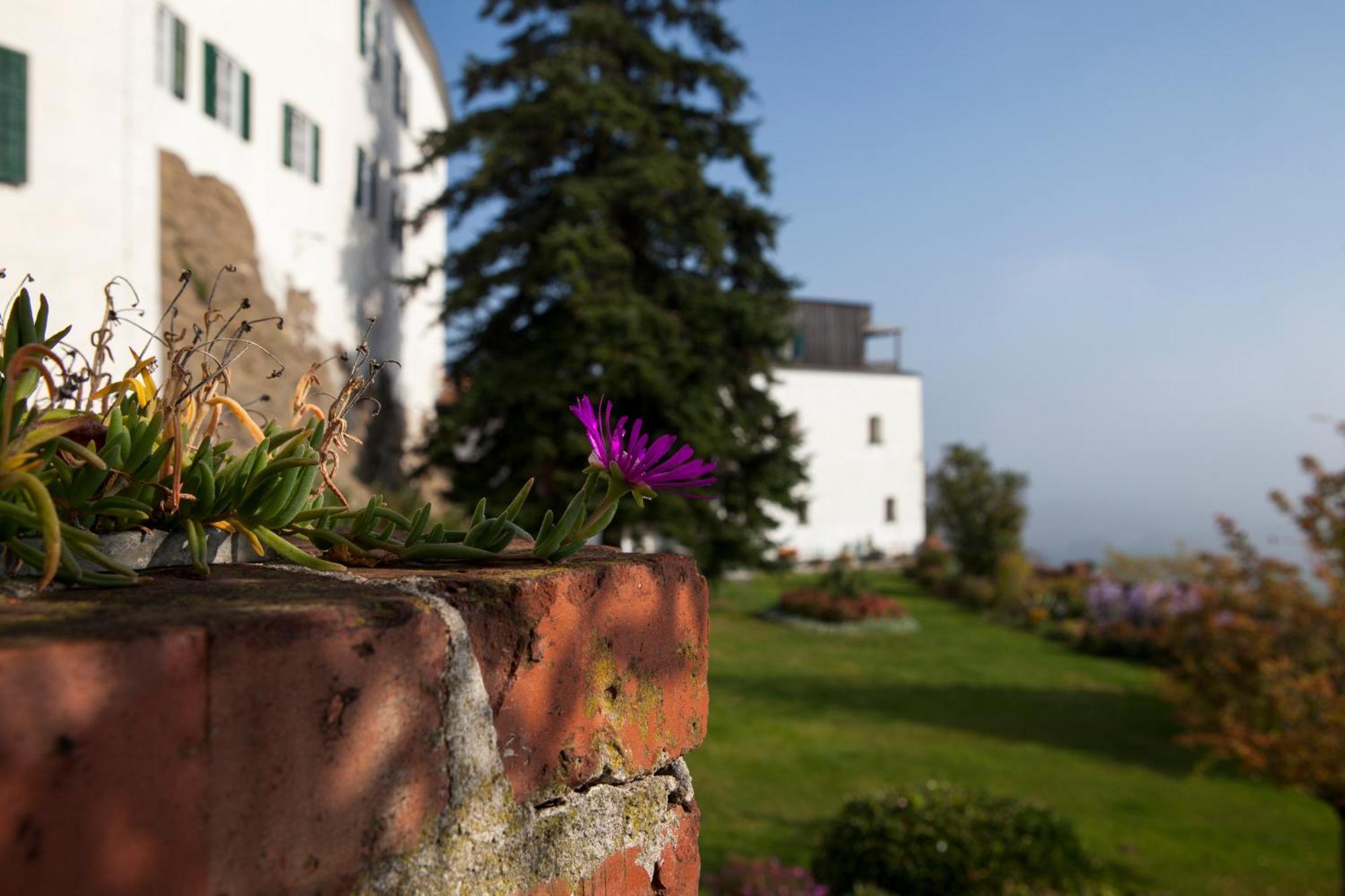 Schloss Kapfenstein Extérieur photo