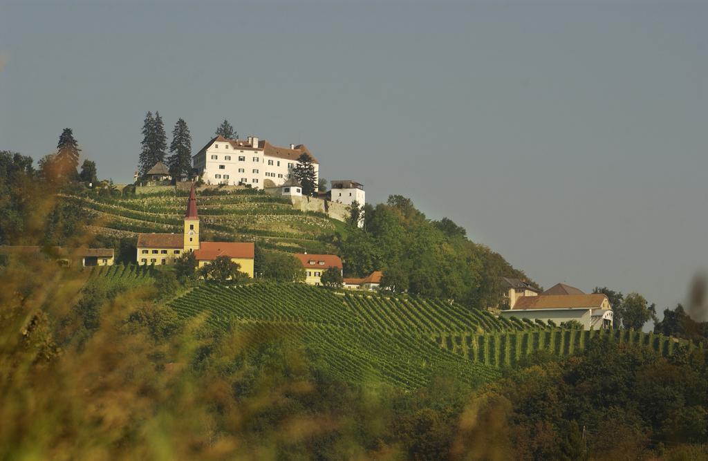 Schloss Kapfenstein Extérieur photo